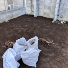 雑草対策(根っこ撤去工事)　No.2566の施工写真メイン