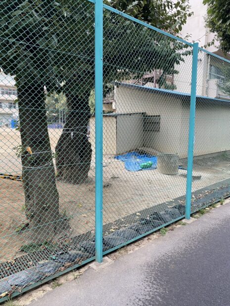 埼玉県新座市　小学校　ネットフェンス改修工事　No.2638