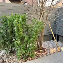 お庭のリフォーム外構工事(目隠しフェンス：ルミナスボーダーAC)　No.2739の施工写真3