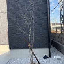 新築外構工事　No.2729の施工写真2