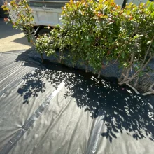 防草シート工事 No.2789の施工写真2