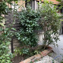 リフォーム外構工事 No.2965の施工写真メイン